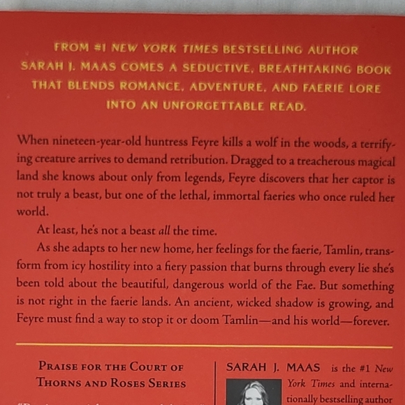 Sarah J Maas - A Court of Thorns and Roses - Fantasy Romance, Young Adult, Fae - Picture 5 of 6